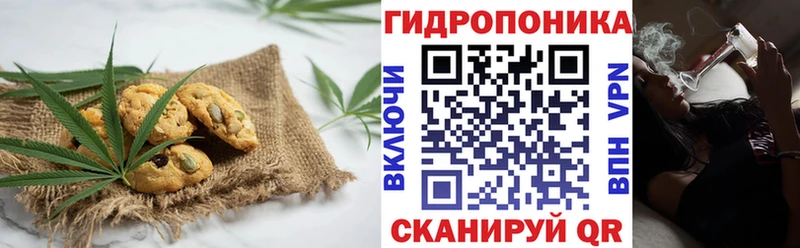 Купить где  Березники  Canna-Cookies марихуана 